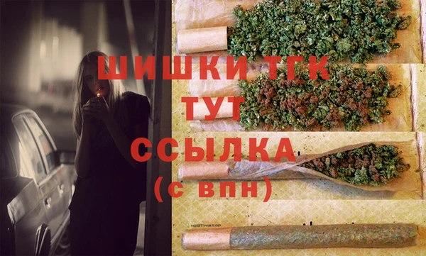 эйфоретик Няндома