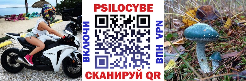 где купить наркоту  Лермонтов  Псилоцибиновые грибы мицелий 